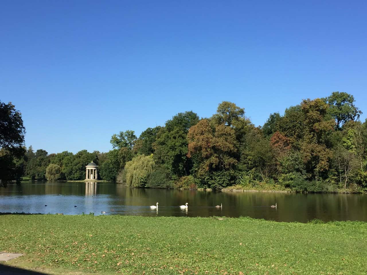 Lake and Temple View at Munich's English Garden Scenic lake with swans and a small temple surrounded by trees in the English Garden Munich