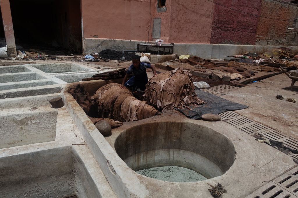 Leather Tannery, animal skins and large round holes to soak the skins in Marrakesh