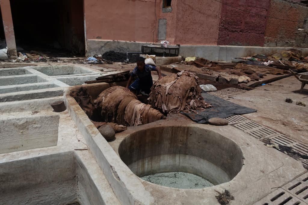 Leather Tannery, animal skins and large round holes to soak the skins in Marrakesh