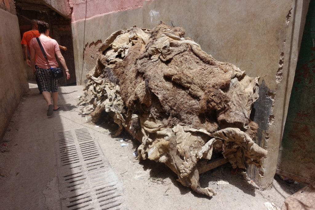 Pile of Camel skin ready to be soaked to make leather