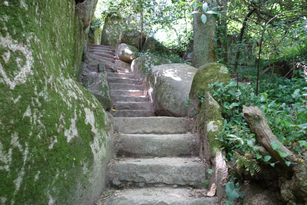 Moss covered stone steps