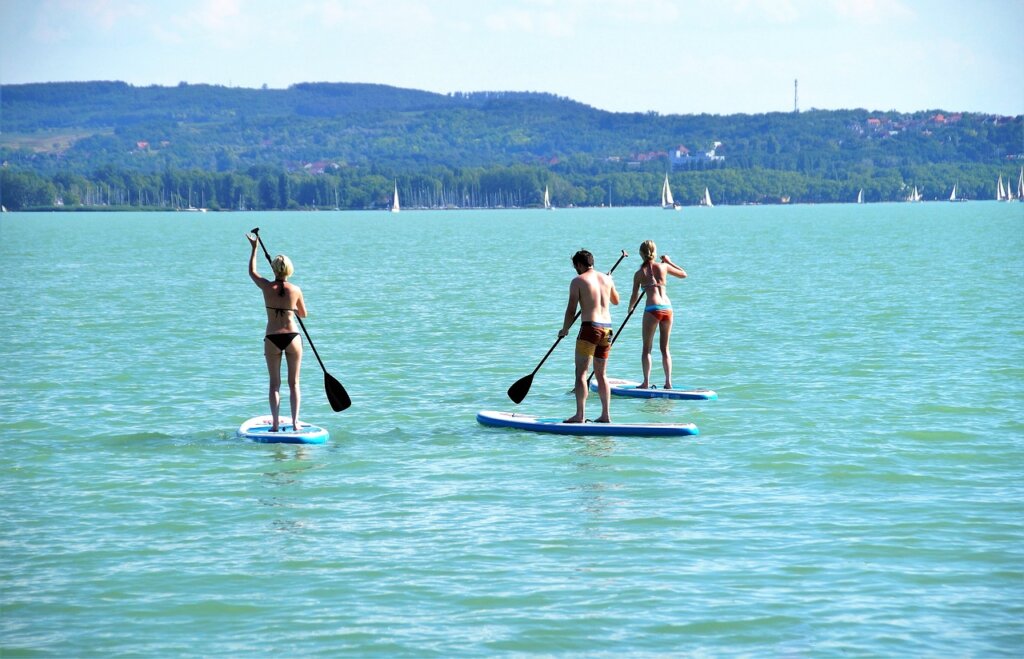 group of people paddleboarding