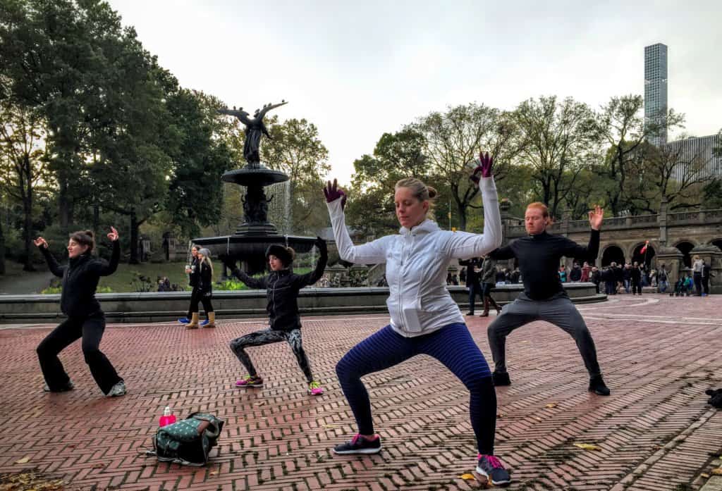 fit tours nyc central park experience