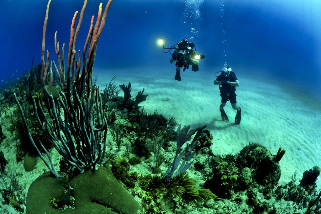 Two people under water and a coral reef