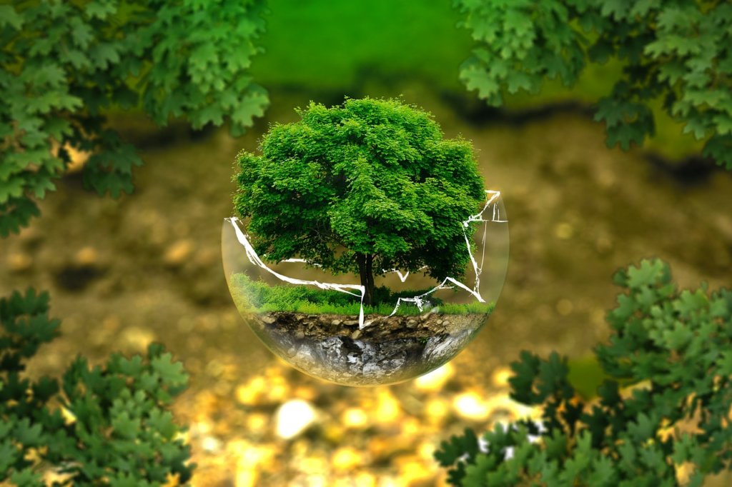 A tree inside of a glass ball