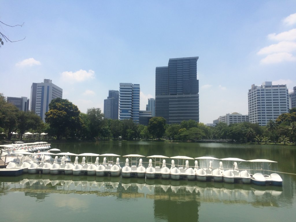 Lumpini Park in Bangkok, boats lines up in the water
