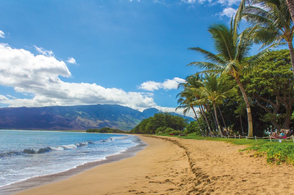 Brown sandy beach and blue water and palm trees in Hawaii 