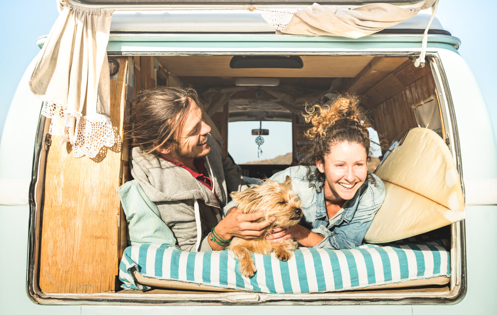 Two people smiling in the back of a van with a dog