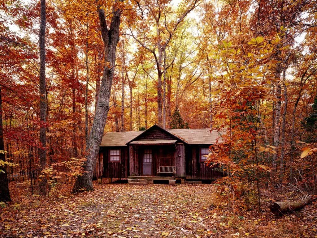A wood cabin in the fall woods