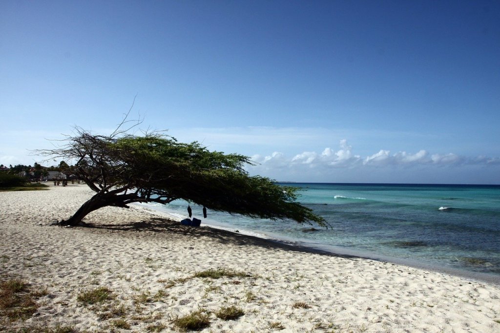 white beach in aruba as one of the best holiday destinations