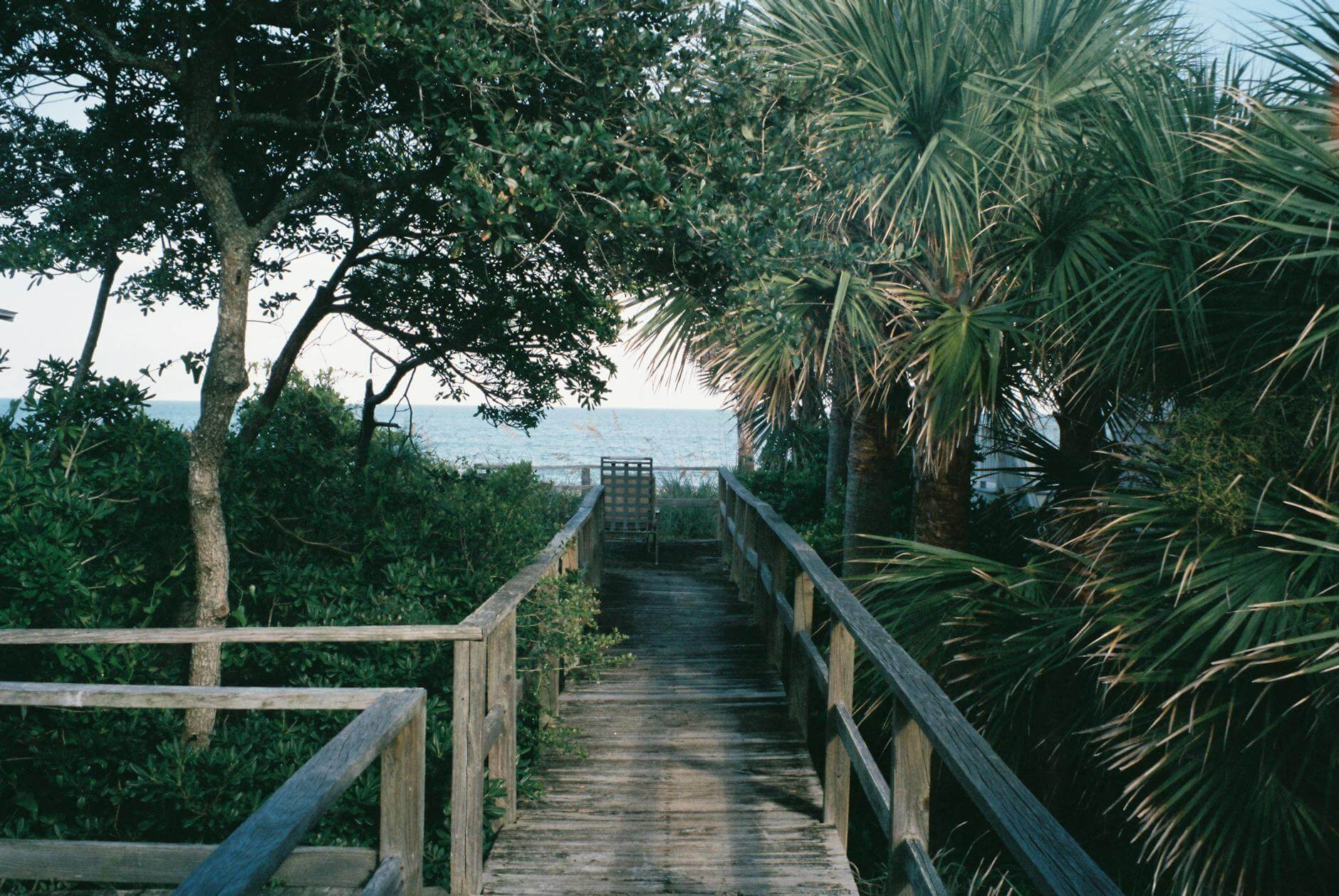 a wooden walkway leading to the beach with palm trees