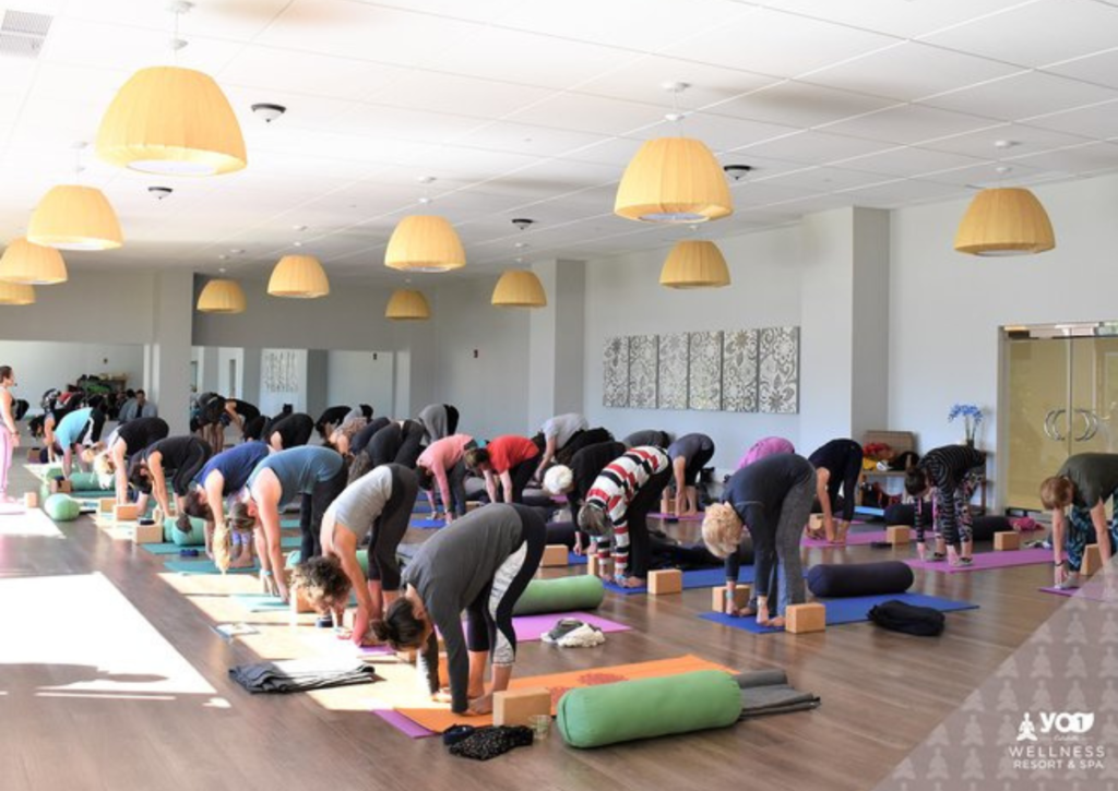 Group of people doing yoga in a studio in New York