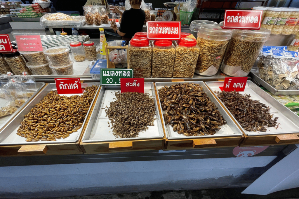 crickets and insects to eat at a tha night market
