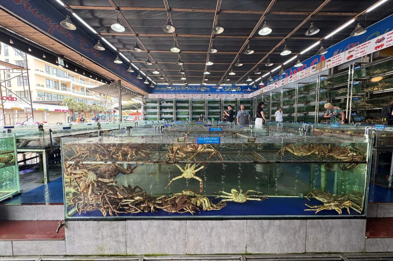Seafood market tanks filled with live king crabs near My Khe Da Nang Beach