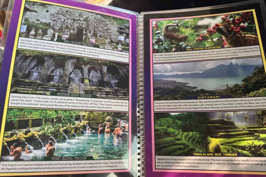 Binder insert with six Bali activities inside