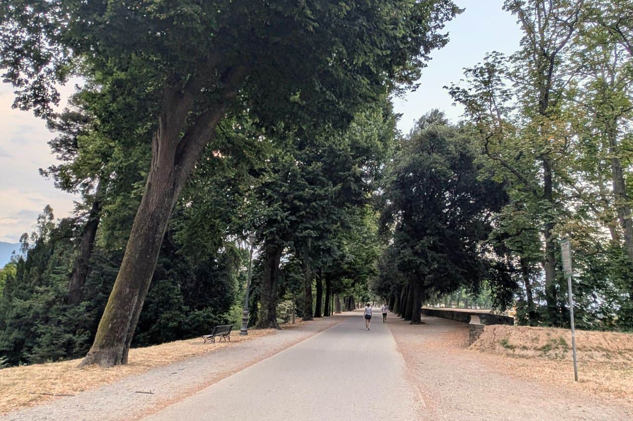 People walking and biking along the scenic bike path on Lucca Italy’s historic city walls