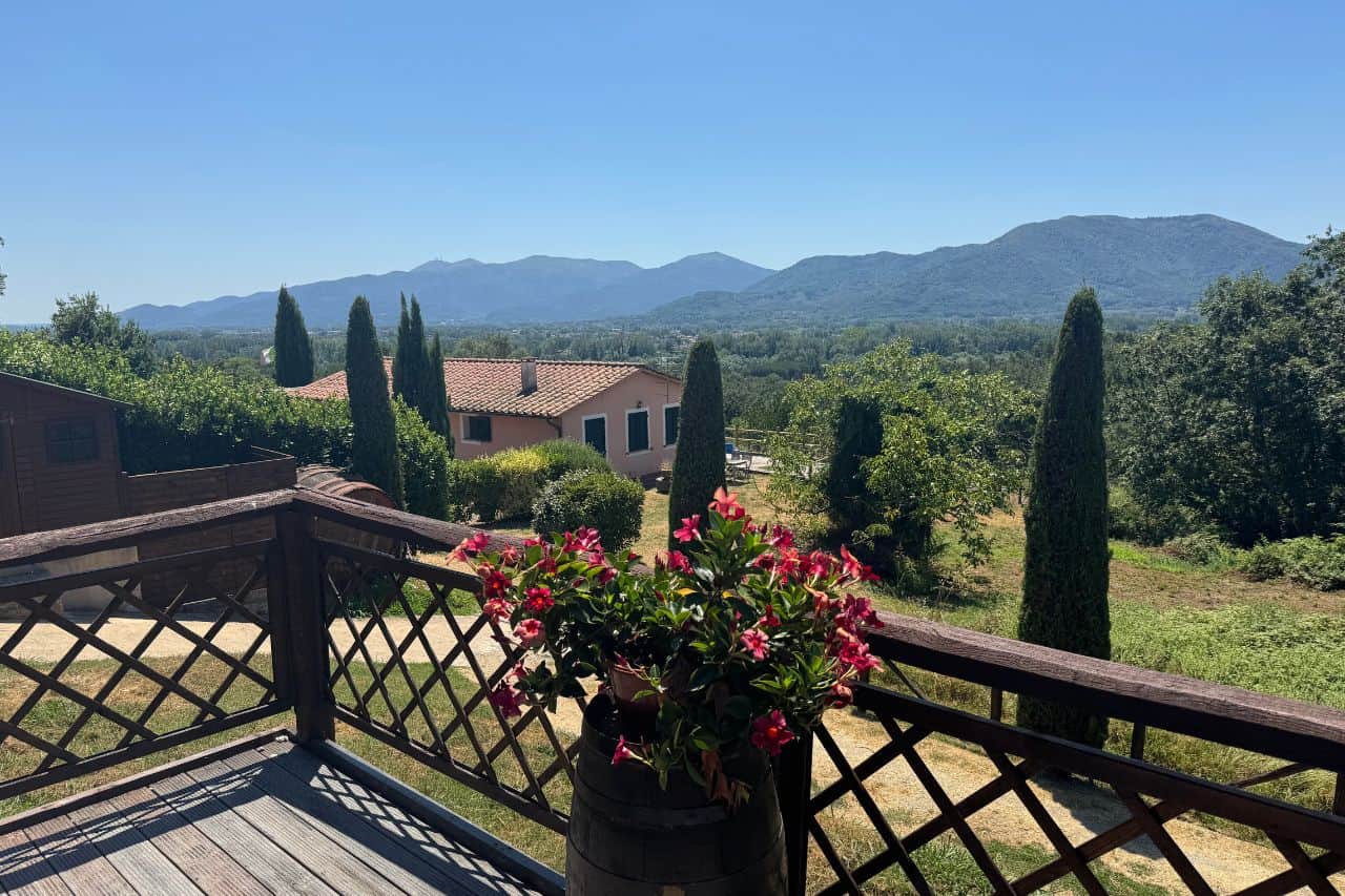 Rolling green vineyards and olive groves at Fattoria Al Dotto winery just outside Lucca Italy